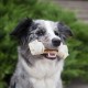 8in1 Delights Chicken, Healthy Chew Bone for Dogs, High Quality Chicken Meat, Wrapped in Beef Skin. Sizes, Bone 8in1 Delights Chicken, Healthy Chew Bone for Dogs, High Quality Chicken Meat, Wrapped in Beef Skin. Sizes, Bone