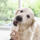 8in1 Delights Chicken, Healthy Chew Bone for Dogs, High Quality Chicken Meat, Wrapped in Beef Skin. Sizes, Bone 8in1 Delights Chicken, Healthy Chew Bone for Dogs, High Quality Chicken Meat, Wrapped in Beef Skin. Sizes, Bone