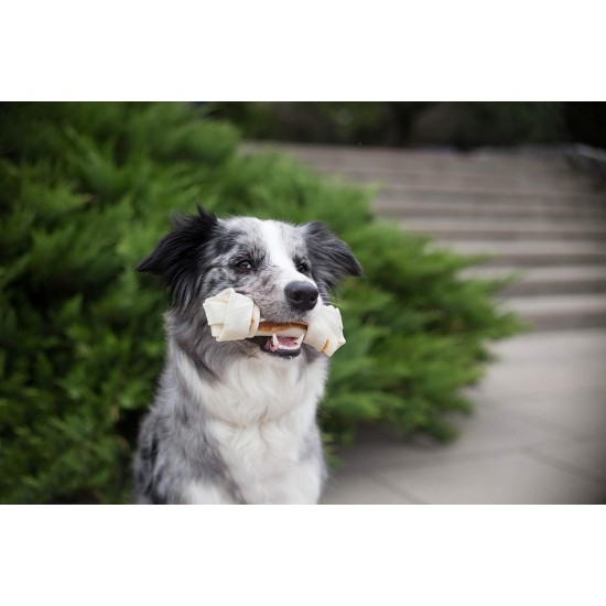 8in1 Delights Chicken, Healthy Chew Bone for Dogs, High Quality Chicken Meat, Wrapped in Beef Skin. Sizes, Bone 8in1 Delights Chicken, Healthy Chew Bone for Dogs, High Quality Chicken Meat, Wrapped in Beef Skin. Sizes, Bone