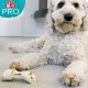 8in1 Delights Pro Dental Healthy Chew Bone Chew Sticks for Dogs for Dental Care Various Sizes: 8in1 Delights Pro Dental Healthy Chew Bone Chew Sticks for Dogs for Dental Care Various Sizes: