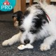 8in1 Delights Pro Dental Healthy Chew Bone Chew Sticks for Dogs for Dental Care Various Sizes: 8in1 Delights Pro Dental Healthy Chew Bone Chew Sticks for Dogs for Dental Care Various Sizes: