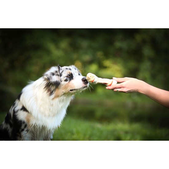8in1 Delights Pro Dental Healthy Chew Bone Chew Sticks for Dogs for Dental Care Various Sizes: 8in1 Delights Pro Dental Healthy Chew Bone Chew Sticks for Dogs for Dental Care Various Sizes: