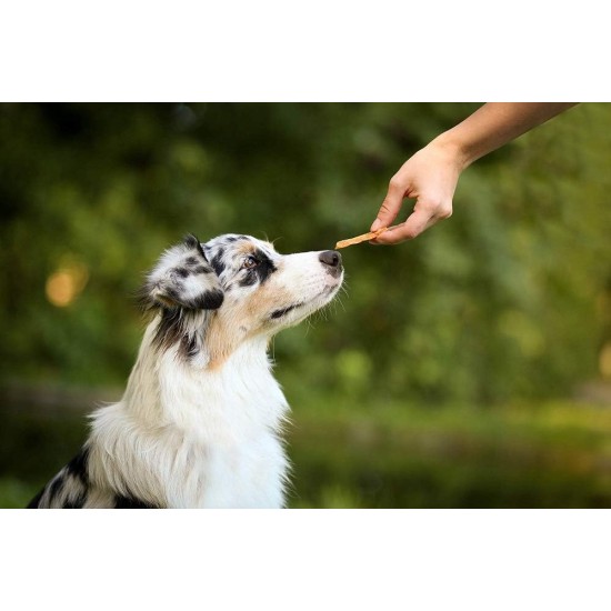 8in1 Fillets Pro Skin & Coat Dog Snack with Chicken, Functional Dog Treats Flavoured with Linseed Oil, 80g Bag 8in1 Fillets Pro Skin & Coat Dog Snack with Chicken, Functional Dog Treats Flavoured with Linseed Oil, 80g Bag