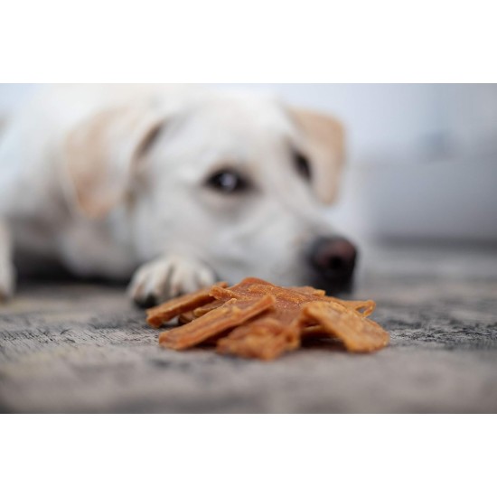 8in1 Fillets Pro Skin & Coat Dog Snack with Chicken, Functional Dog Treats Flavoured with Linseed Oil, 80g Bag 8in1 Fillets Pro Skin & Coat Dog Snack with Chicken, Functional Dog Treats Flavoured with Linseed Oil, 80g Bag