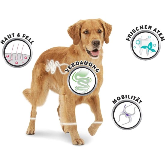 8in1 Fillets Pro Skin & Coat Dog Snack with Chicken, Functional Dog Treats Flavoured with Linseed Oil, 80g Bag 8in1 Fillets Pro Skin & Coat Dog Snack with Chicken, Functional Dog Treats Flavoured with Linseed Oil, 80g Bag