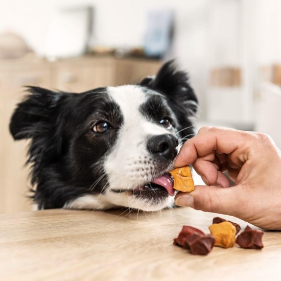 8in1 Flavours Crunchy Rolls Dog Snacks - Crunchy Treats for Dogs with Chicken Breast, Duck Breast or Beef, 85g Bag 8in1 Flavours Crunchy Rolls Dog Snacks - Crunchy Treats for Dogs with Chicken Breast, Duck Breast or Beef, 85g Bag