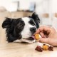 8in1 Flavours Crunchy Rolls Hunde-Snacks - knusprige Leckerlis für Hunde mit Hähnchenbrust, Entenbrust oder Rindfleisch, 85 g Beutel 8in1 Flavours Crunchy Rolls Hunde-Snacks - knusprige Leckerlis für Hunde mit Hähnchenbrust, Entenbrust oder Rindfleisch, 85 g Beutel