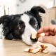 8in1 Flavours Crunchy Rolls Hunde-Snacks - knusprige Leckerlis für Hunde mit Hähnchenbrust, Entenbrust oder Rindfleisch, 85 g Beutel 8in1 Flavours Crunchy Rolls Hunde-Snacks - knusprige Leckerlis für Hunde mit Hähnchenbrust, Entenbrust oder Rindfleisch, 85 g Beutel