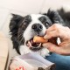 8in1 Flavours Crunchy Rolls Hunde-Snacks - knusprige Leckerlis für Hunde mit Hähnchenbrust, Entenbrust oder Rindfleisch, 85 g Beutel 8in1 Flavours Crunchy Rolls Hunde-Snacks - knusprige Leckerlis für Hunde mit Hähnchenbrust, Entenbrust oder Rindfleisch, 85 g Beutel
