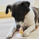 8in1 Triple Flavor Chewing Bone L wrapped with chicken fillet, 1 pack (1 x 85 g) 8in1 Triple Flavor Chewing Bone L wrapped with chicken fillet, 1 pack (1 x 85 g)
