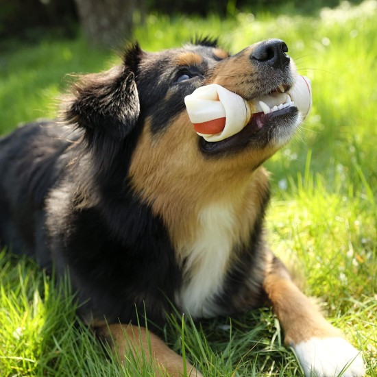 8in1 Triple Flavor Chewing Bone L wrapped with chicken fillet, 1 pack (1 x 85 g) 8in1 Triple Flavor Chewing Bone L wrapped with chicken fillet, 1 pack (1 x 85 g)