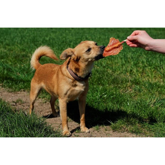 8in1 Triple Flavor Wings Chew Snack 6 Pieces Wrapped with Chicken Fillet, 1 Pack (113 g) 8in1 Triple Flavor Wings Chew Snack 6 Pieces Wrapped with Chicken Fillet, 1 Pack (113 g)
