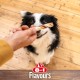 8in1 Triple Flavour Wings Kaustangen für Hunde - Kausnacks mit extra viel Fleisch, 113g Beutel (ca. 6 Stück) 8in1 Triple Flavour Wings Kaustangen für Hunde - Kausnacks mit extra viel Fleisch, 113g Beutel (ca. 6 Stück)