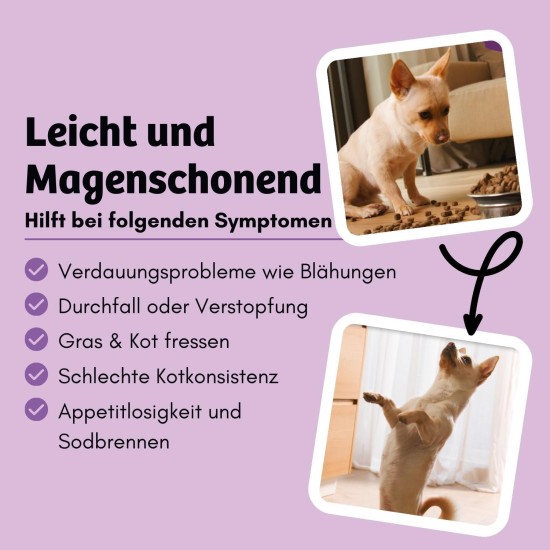 8x150g Hundekeks, Gesunde Hundekekse zum Training o. als Snack, Belohnungs-Leckerli für aktive Hunde, Banane & Chia & Lachsöl & L-Carnitin als Energielieferanten, hergestellt in DE, sensitiv 8x150g Hundekeks, Gesunde Hundekekse zum Training o. als Snack, Belohnungs-Leckerli für aktive Hunde, Banane & Chia & Lachsöl & L-Carnitin als Energielieferanten, hergestellt in DE, sensitiv