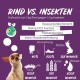 8x150g Hundekeks, Gesunde Hundekekse zum Training o. als Snack, Belohnungs-Leckerli für aktive Hunde, Banane & Chia & Lachsöl & L-Carnitin als Energielieferanten, hergestellt in DE, sensitiv 8x150g Hundekeks, Gesunde Hundekekse zum Training o. als Snack, Belohnungs-Leckerli für aktive Hunde, Banane & Chia & Lachsöl & L-Carnitin als Energielieferanten, hergestellt in DE, sensitiv