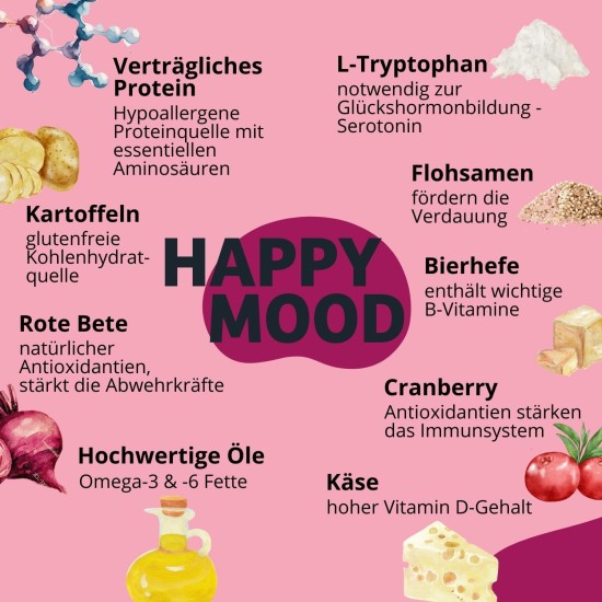 8x150g Hundekeks, Gesunde Hundekekse zum Training o. als Snack, Belohnungs-Leckerli für aktive Hunde, Banane & Chia & Lachsöl & L-Carnitin als Energielieferanten, hergestellt in DE, sensitiv 8x150g Hundekeks, Gesunde Hundekekse zum Training o. als Snack, Belohnungs-Leckerli für aktive Hunde, Banane & Chia & Lachsöl & L-Carnitin als Energielieferanten, hergestellt in DE, sensitiv