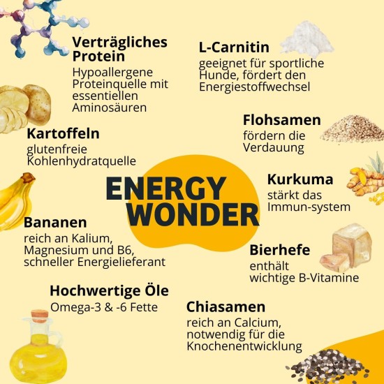 8x150g Hundekeks, Gesunde Hundekekse zum Training o. als Snack, Belohnungs-Leckerli für aktive Hunde, Banane & Chia & Lachsöl & L-Carnitin als Energielieferanten, hergestellt in DE, sensitiv 8x150g Hundekeks, Gesunde Hundekekse zum Training o. als Snack, Belohnungs-Leckerli für aktive Hunde, Banane & Chia & Lachsöl & L-Carnitin als Energielieferanten, hergestellt in DE, sensitiv