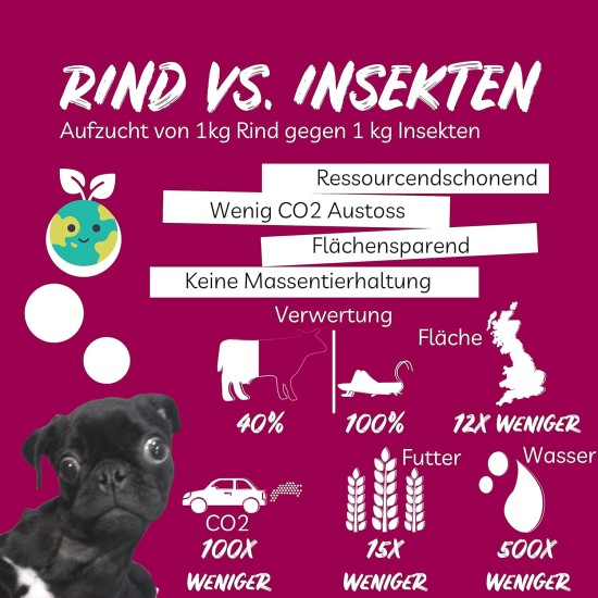 8x150g Hundekeks, Gesunde Hundekekse zum Training o. als Snack, Belohnungs-Leckerli für aktive Hunde, Banane & Chia & Lachsöl & L-Carnitin als Energielieferanten, hergestellt in DE, sensitiv 8x150g Hundekeks, Gesunde Hundekekse zum Training o. als Snack, Belohnungs-Leckerli für aktive Hunde, Banane & Chia & Lachsöl & L-Carnitin als Energielieferanten, hergestellt in DE, sensitiv