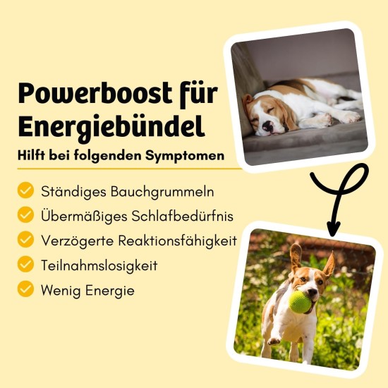8x150g Hundekeks, Gesunde Hundekekse zum Training o. als Snack, Belohnungs-Leckerli für aktive Hunde, Banane & Chia & Lachsöl & L-Carnitin als Energielieferanten, hergestellt in DE, sensitiv 8x150g Hundekeks, Gesunde Hundekekse zum Training o. als Snack, Belohnungs-Leckerli für aktive Hunde, Banane & Chia & Lachsöl & L-Carnitin als Energielieferanten, hergestellt in DE, sensitiv