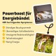 8x150g Hundekeks, Gesunde Hundekekse zum Training o. als Snack, Belohnungs-Leckerli für aktive Hunde, Banane & Chia & Lachsöl & L-Carnitin als Energielieferanten, hergestellt in DE, sensitiv 8x150g Hundekeks, Gesunde Hundekekse zum Training o. als Snack, Belohnungs-Leckerli für aktive Hunde, Banane & Chia & Lachsöl & L-Carnitin als Energielieferanten, hergestellt in DE, sensitiv