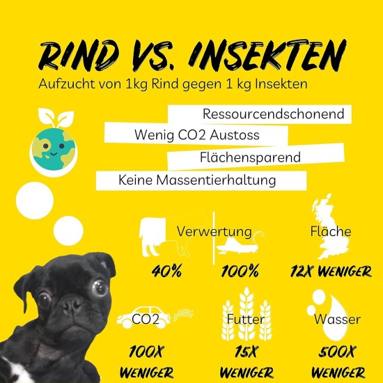 8x150g Hundekeks, Gesunde Hundekekse zum Training o. als Snack, Belohnungs-Leckerli für aktive Hunde, Banane & Chia & Lachsöl & L-Carnitin als Energielieferanten, hergestellt in DE, sensitiv 8x150g Hundekeks, Gesunde Hundekekse zum Training o. als Snack, Belohnungs-Leckerli für aktive Hunde, Banane & Chia & Lachsöl & L-Carnitin als Energielieferanten, hergestellt in DE, sensitiv