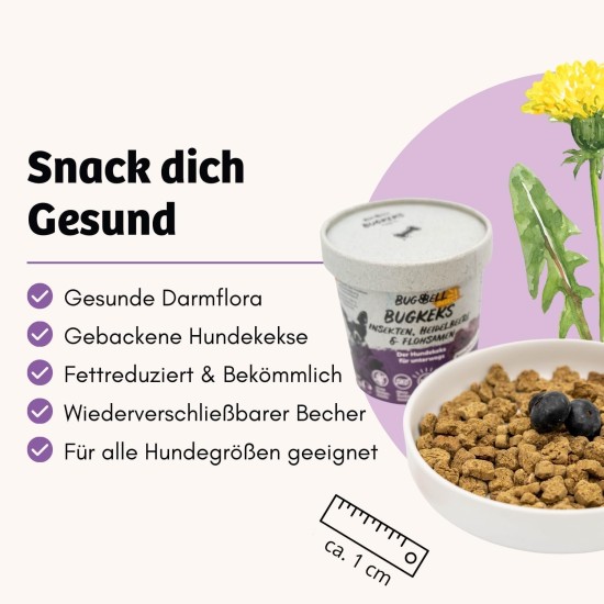 8x150g Hundekeks, Gesunde Hundekekse zum Training o. als Snack, Belohnungs-Leckerli für aktive Hunde, Banane & Chia & Lachsöl & L-Carnitin als Energielieferanten, hergestellt in DE, sensitiv 8x150g Hundekeks, Gesunde Hundekekse zum Training o. als Snack, Belohnungs-Leckerli für aktive Hunde, Banane & Chia & Lachsöl & L-Carnitin als Energielieferanten, hergestellt in DE, sensitiv