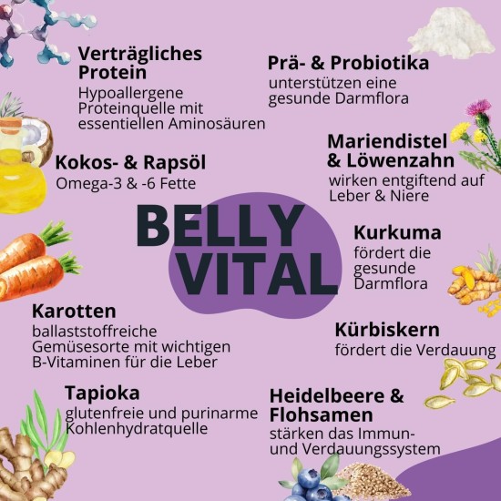 8x150g Hundekeks, Gesunde Hundekekse zum Training o. als Snack, Belohnungs-Leckerli für aktive Hunde, Banane & Chia & Lachsöl & L-Carnitin als Energielieferanten, hergestellt in DE, sensitiv 8x150g Hundekeks, Gesunde Hundekekse zum Training o. als Snack, Belohnungs-Leckerli für aktive Hunde, Banane & Chia & Lachsöl & L-Carnitin als Energielieferanten, hergestellt in DE, sensitiv