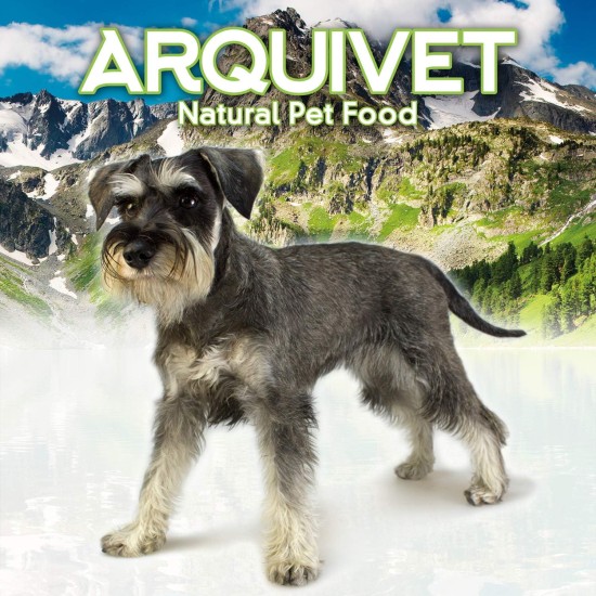 ARQUIVET 100% Natural Pressed Cow Leather Bones for Dogs 21cm Full Box 30 Pcs Retractable Natural Snack Treats Treats for Dogs ARQUIVET 100% Natural Pressed Cow Leather Bones for Dogs 21cm Full Box 30 Pcs Retractable Natural Snack Treats Treats for Dogs