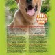 ARQUIVET Pack of 12 - 2 Half Serrano Ham Bones - Natural Snacks for Dogs of All Breeds - Prizes, Rewards - Chew Bones for Dogs ARQUIVET Pack of 12 - 2 Half Serrano Ham Bones - Natural Snacks for Dogs of All Breeds - Prizes, Rewards - Chew Bones for Dogs