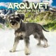 Arquivet Arquibone Beef 12.5 cm - 95 g - Large Dog Bone - Natural Snack for Dogs - Chew Bone - Supplementary Food for Dogs
