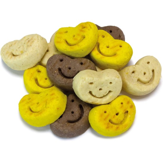 Arquivet Hundekekse Smiles – 10 kg – Snacks für Hunde – Leckerlis für Hunde Arquivet Hundekekse Smiles – 10 kg – Snacks für Hunde – Leckerlis für Hunde