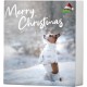 Bubimex Adventskalender für Hunde Bubimex Adventskalender für Hunde