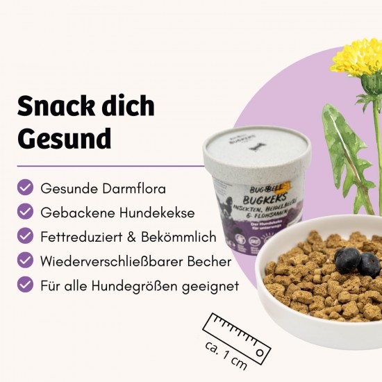 BugBell 8 x 150 g Dog Biscuit, Healthy Treat with Function, No Cereals, No Sugar, Hypoallergenic, Blueberry & Psyllium Seeds & Probiotics for Detoxification & Detoxification, Low Purine Insect Protein BugBell 8 x 150 g Dog Biscuit, Healthy Treat with Function, No Cereals, No Sugar, Hypoallergenic, Blueberry & Psyllium Seeds & Probiotics for Detoxification & Detoxification, Low Purine Insect Protein