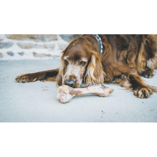 Chew Bone Dog - Bone with Ham - Dog Treats for Chewing - Ham Flavour 100% Natural - Dog Chew Items for Dogs of All Breeds and Ages - Reward for Dogs Chew Bone Dog - Bone with Ham - Dog Treats for Chewing - Ham Flavour 100% Natural - Dog Chew Items for Dogs of All Breeds and Ages - Reward for Dogs
