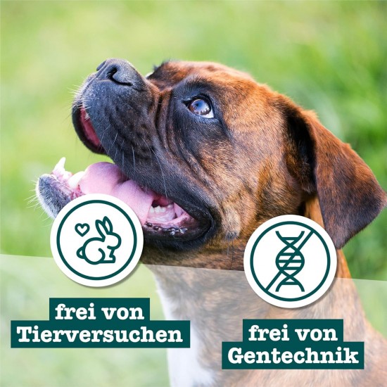 Chewies Dog Treat, Small Bone Training Treats for Dogs - Beef, Rumen, Poultry, Lamb, Salmon - Sugar Free Dog Treats Chewies Dog Treat, Small Bone Training Treats for Dogs - Beef, Rumen, Poultry, Lamb, Salmon - Sugar Free Dog Treats