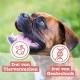 Chewies Dog Treat, Small Bone Training Treats for Dogs - Beef, Rumen, Poultry, Lamb, Salmon - Sugar Free Dog Treats Chewies Dog Treat, Small Bone Training Treats for Dogs - Beef, Rumen, Poultry, Lamb, Salmon - Sugar Free Dog Treats