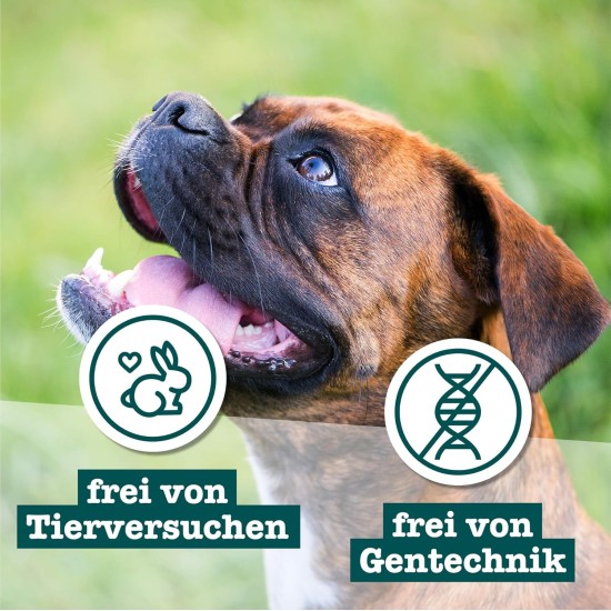 Chewies Dog Treat, Small Bone Training Treats for Dogs - Beef, Rumen, Poultry, Lamb, Salmon - Sugar Free Dog Treats Chewies Dog Treat, Small Bone Training Treats for Dogs - Beef, Rumen, Poultry, Lamb, Salmon - Sugar Free Dog Treats