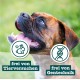 Chewies Dog Treat, Small Bone Training Treats for Dogs - Beef, Rumen, Poultry, Lamb, Salmon - Sugar Free Dog Treats Chewies Dog Treat, Small Bone Training Treats for Dogs - Beef, Rumen, Poultry, Lamb, Salmon - Sugar Free Dog Treats