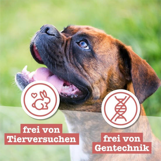Chewies Dog Treat, Small Bone Training Treats for Dogs - Beef, Rumen, Poultry, Lamb, Salmon - Sugar Free Dog Treats Chewies Dog Treat, Small Bone Training Treats for Dogs - Beef, Rumen, Poultry, Lamb, Salmon - Sugar Free Dog Treats