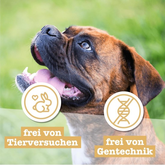 Chewies Dog Treat, Small Bone Training Treats for Dogs - Beef, Rumen, Poultry, Lamb, Salmon - Sugar Free Dog Treats Chewies Dog Treat, Small Bone Training Treats for Dogs - Beef, Rumen, Poultry, Lamb, Salmon - Sugar Free Dog Treats