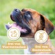Chewies Dog Treat, Small Bone Training Treats for Dogs - Beef, Rumen, Poultry, Lamb, Salmon - Sugar Free Dog Treats Chewies Dog Treat, Small Bone Training Treats for Dogs - Beef, Rumen, Poultry, Lamb, Salmon - Sugar Free Dog Treats