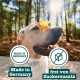Chewies Dog Treat, Small Bone Training Treats for Dogs - Beef, Rumen, Poultry, Lamb, Salmon - Sugar Free Dog Treats Chewies Dog Treat, Small Bone Training Treats for Dogs - Beef, Rumen, Poultry, Lamb, Salmon - Sugar Free Dog Treats