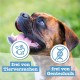 Chewies Dog Treat, Small Bone Training Treats for Dogs - Beef, Rumen, Poultry, Lamb, Salmon - Sugar Free Dog Treats Chewies Dog Treat, Small Bone Training Treats for Dogs - Beef, Rumen, Poultry, Lamb, Salmon - Sugar Free Dog Treats
