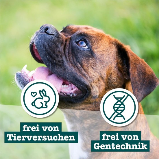 Chewies Dog Treat, Small Bone Training Treats for Dogs - Beef, Rumen, Poultry, Lamb, Salmon - Sugar Free Dog Treats Chewies Dog Treat, Small Bone Training Treats for Dogs - Beef, Rumen, Poultry, Lamb, Salmon - Sugar Free Dog Treats