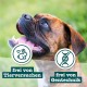 Chewies Dog Treat, Small Bone Training Treats for Dogs - Beef, Rumen, Poultry, Lamb, Salmon - Sugar Free Dog Treats Chewies Dog Treat, Small Bone Training Treats for Dogs - Beef, Rumen, Poultry, Lamb, Salmon - Sugar Free Dog Treats