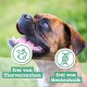 Chewies Dog Treat, Small Bone Training Treats for Dogs - Beef, Rumen, Poultry, Lamb, Salmon - Sugar Free Dog Treats Chewies Dog Treat, Small Bone Training Treats for Dogs - Beef, Rumen, Poultry, Lamb, Salmon - Sugar Free Dog Treats