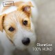 Chewies Dog Treat, Small Bone Training Treats for Dogs - Beef, Rumen, Poultry, Lamb, Salmon - Sugar Free Dog Treats Chewies Dog Treat, Small Bone Training Treats for Dogs - Beef, Rumen, Poultry, Lamb, Salmon - Sugar Free Dog Treats