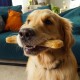 Croci King Chicken Dog Bones 32cm 450g Pack of 11 Croci King Chicken Dog Bones 32cm 450g Pack of 11
