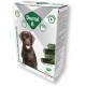 Dental-b (L) Dog Bars, 20kg, Pack of 14