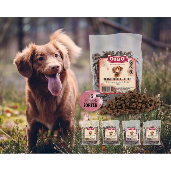 Dibo Barf Treats, 200 g Horse, Wild, Ostrich, Lamb, Duck Dog Snack, Small and Practical Training Dog Treats, Sugar-Free, Healthy and Delicious (Lamb) Dibo Barf Treats, 200 g Horse, Wild, Ostrich, Lamb, Duck Dog Snack, Small and Practical Training Dog Treats, Sugar-Free, Healthy and Delicious (Lamb)